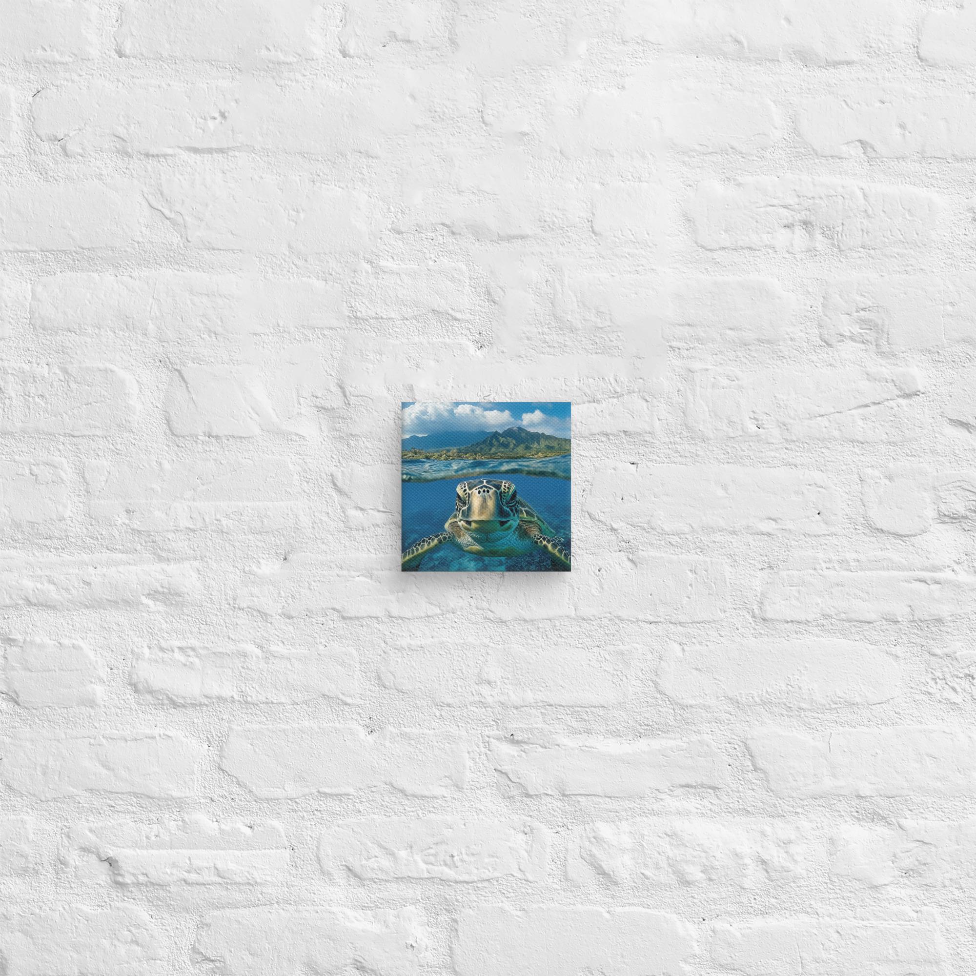 Aloha Serenity Sea Turtle Canvas 36
